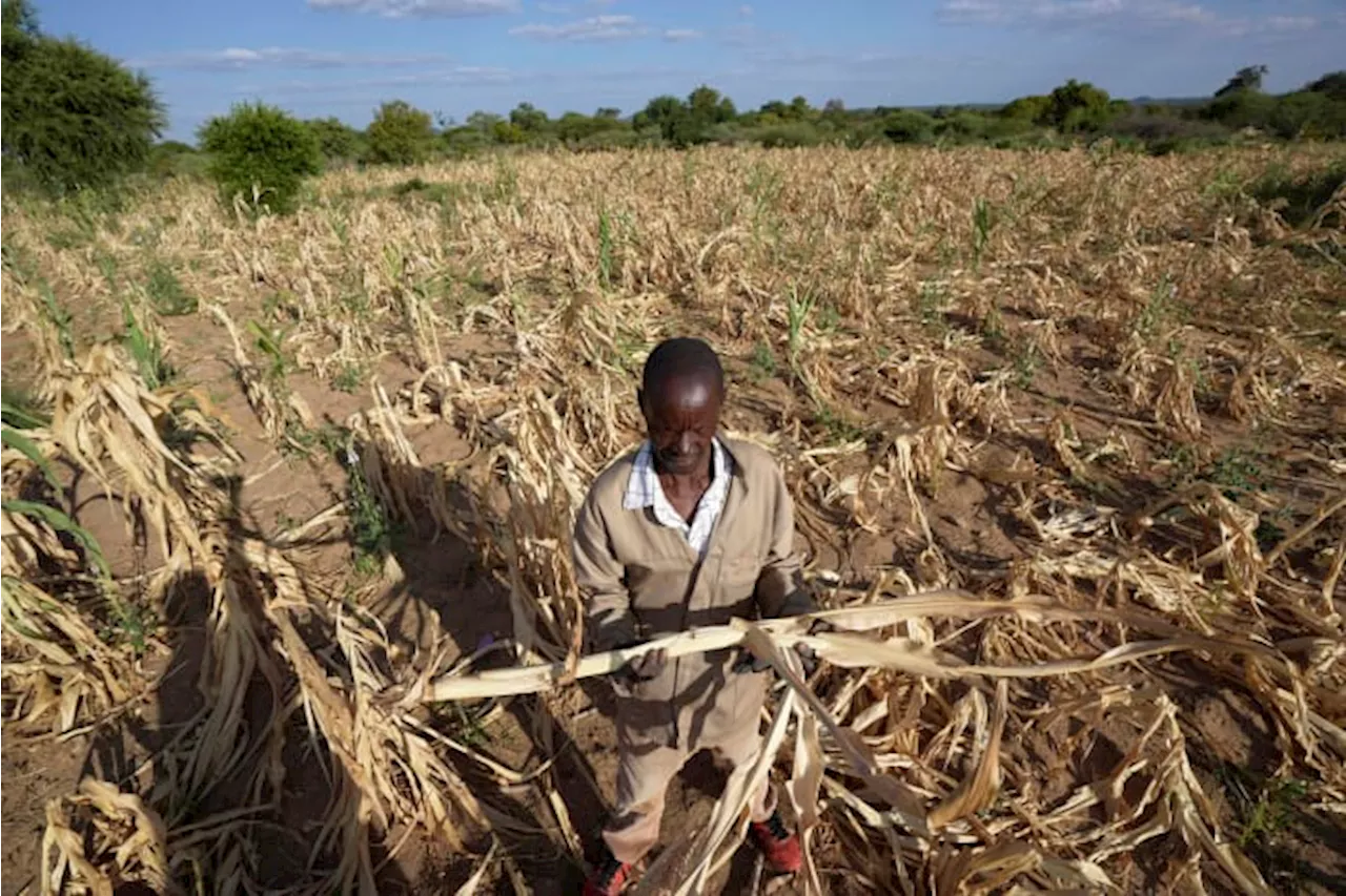 Zimbabwe declares drought disaster, the latest in a region where El Nino has left millions hungry