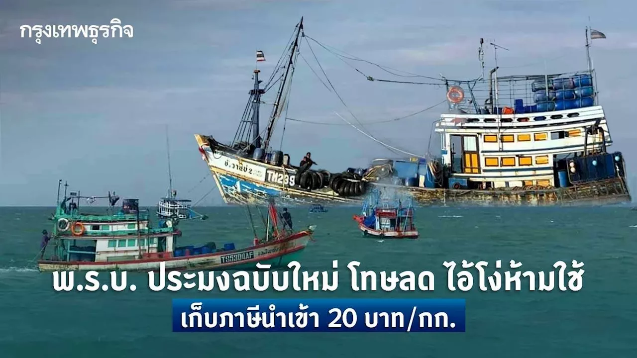 พ.ร.บ. ประมงฉบับใหม่ โทษลด ไอ้โง่ห้ามใช้ เก็บภาษีนำเข้า20 บาท/กก.