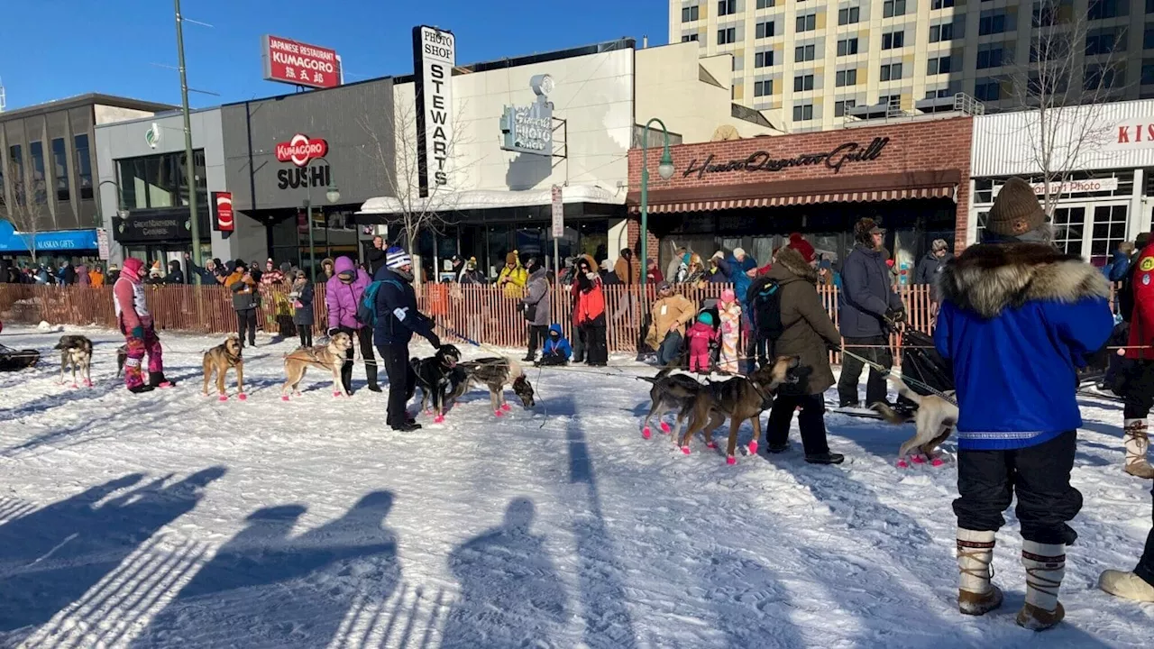 In fundraising pitch, Iditarod planners say financial woes could jeopardize epic sled dog race