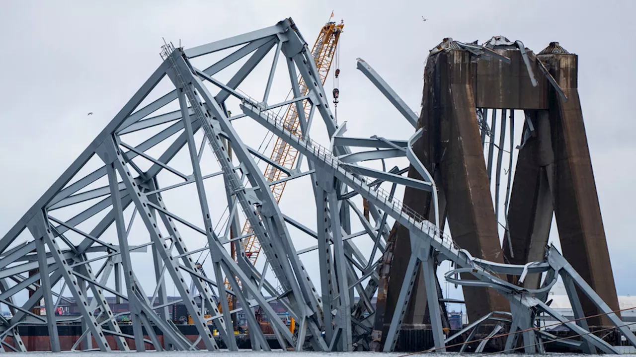 Collapse of Francis Scott Key Bridge Disrupts Trucking Operations in Baltimore