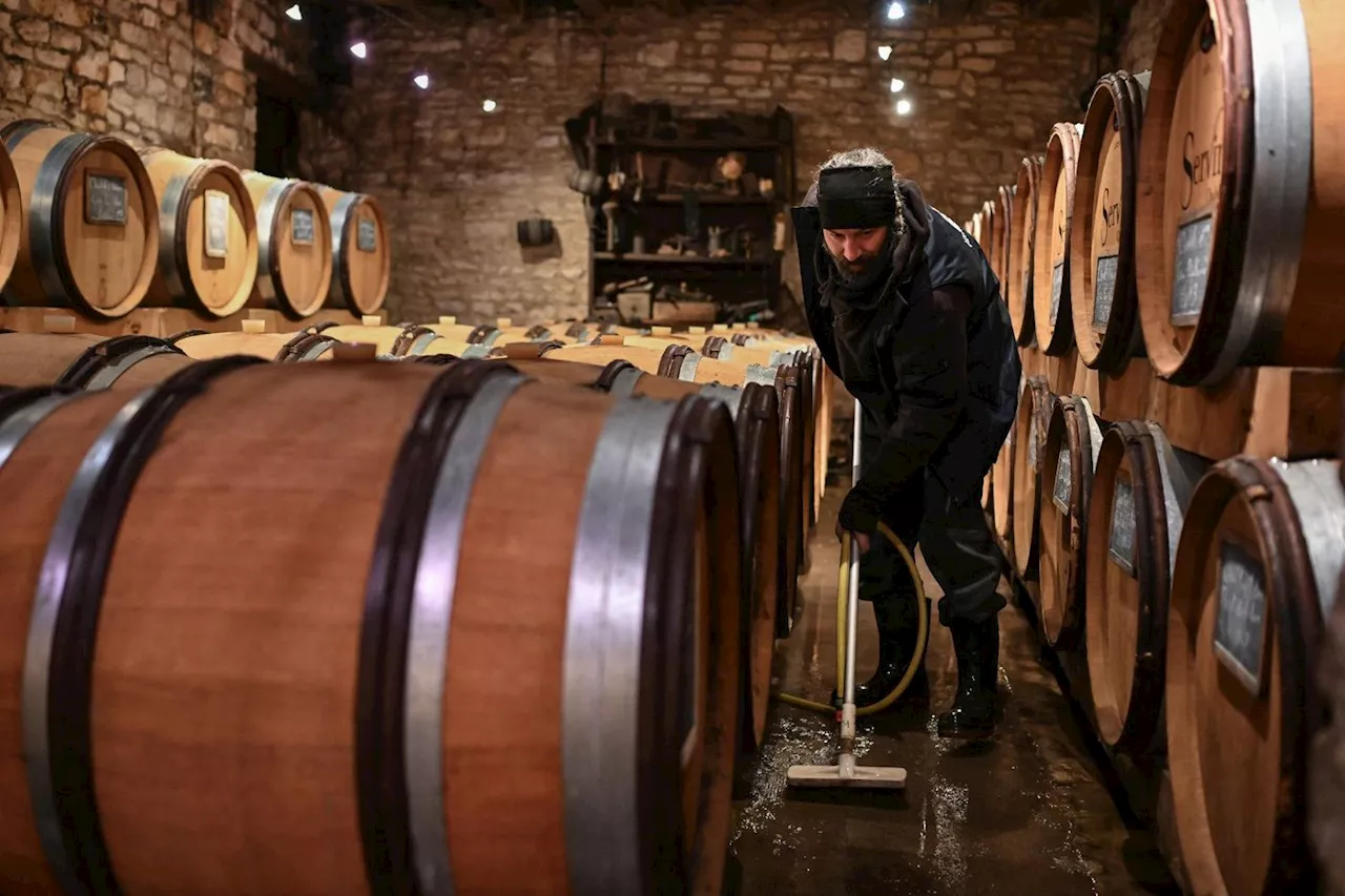 Les crues atteignent leur pic à Tonnerre et Chablis