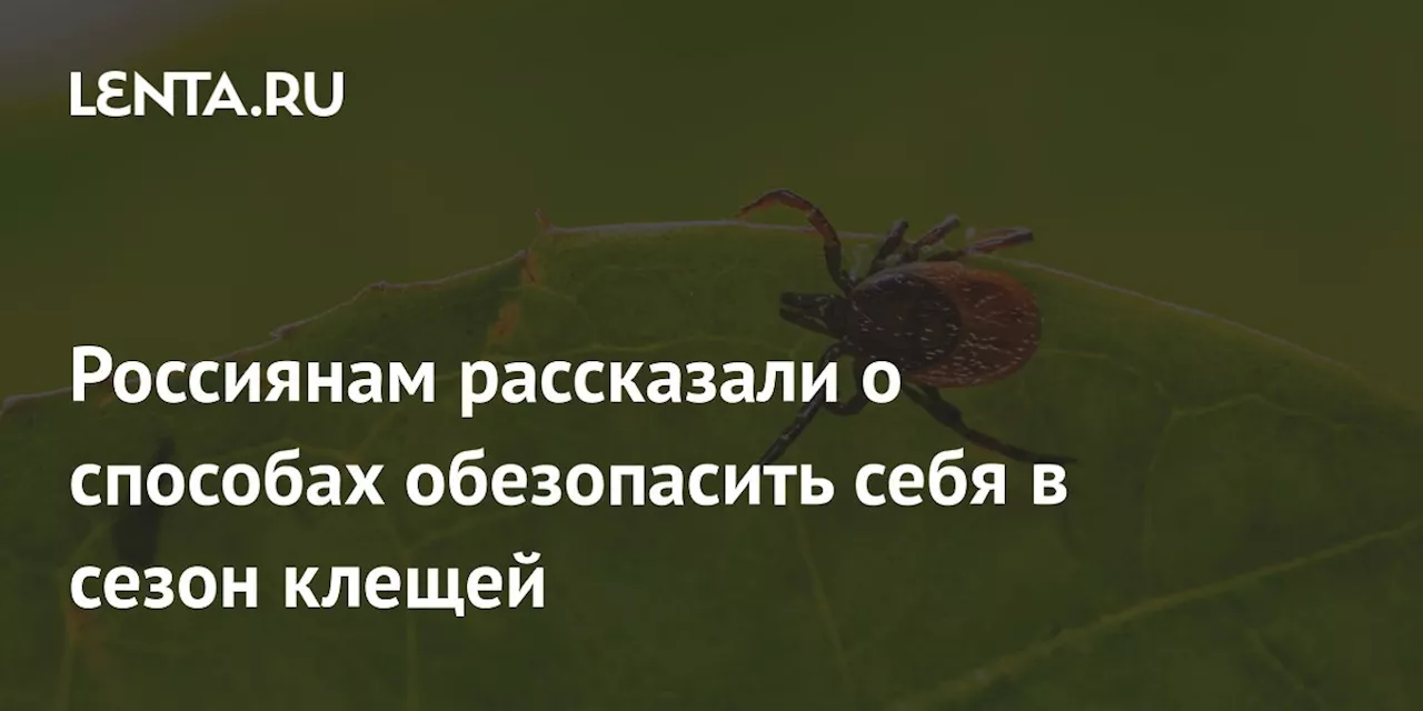 Россиянам рассказали о способах обезопасить себя в сезон клещей