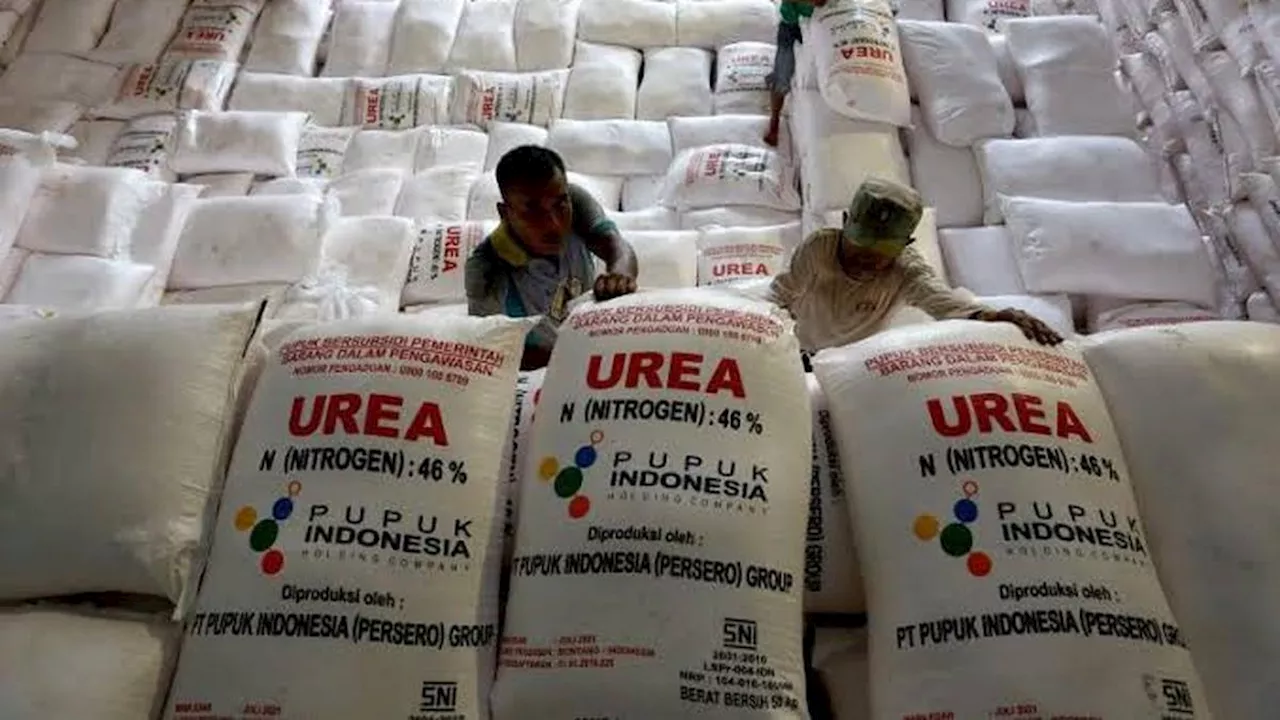 Alokasi Pupuk Subsidi Ditambah Jadi 9,5 Juta Ton, Petani Tak Perlu Repot