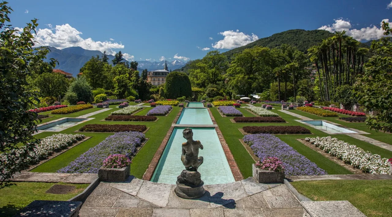 Fioriture primaverili nel parco botanico