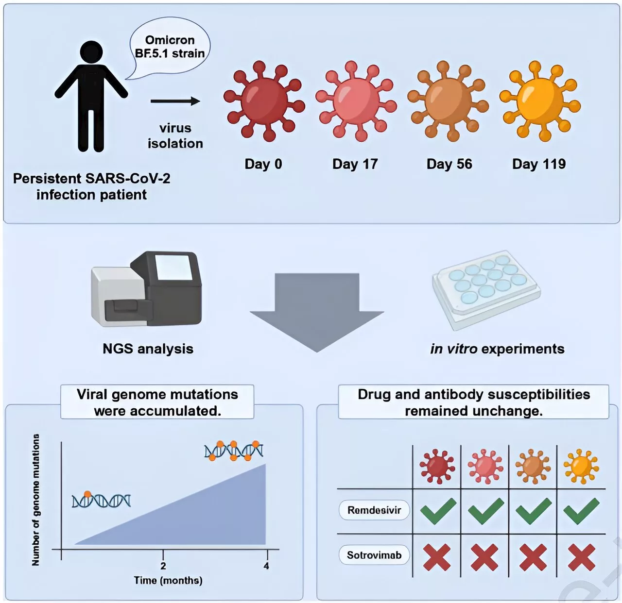 Researchers predict real-world SARS-CoV-2 evolution by monitoring mutations of viral isolates