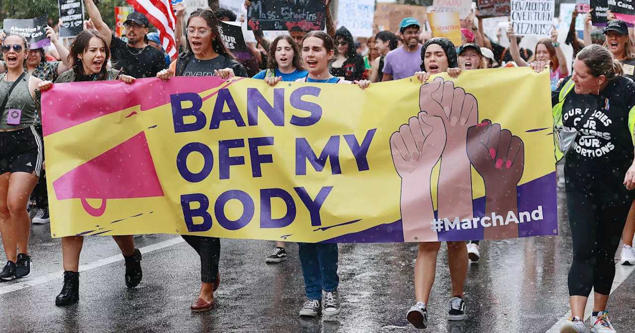 Florida abortion ban prompts two states to prepare for influx of patients