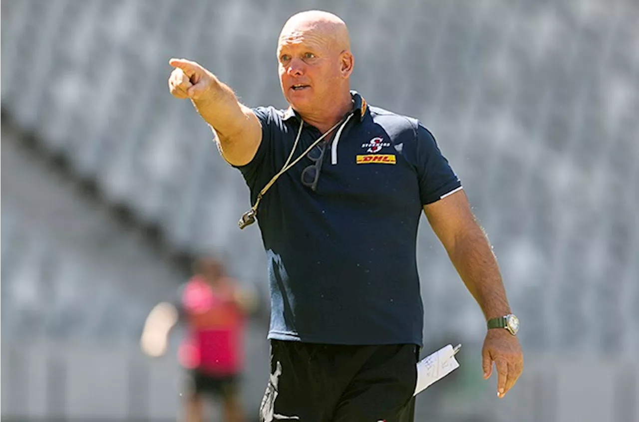 Director Dobbo: Promoted Stormers boss says 'nothing changes' on road to rugby's top table