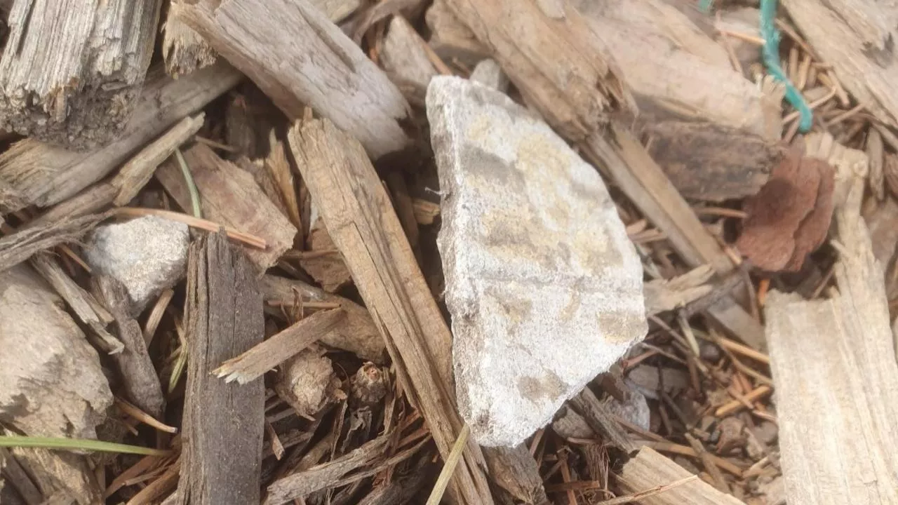 ’Horrifying’ discovery at playground