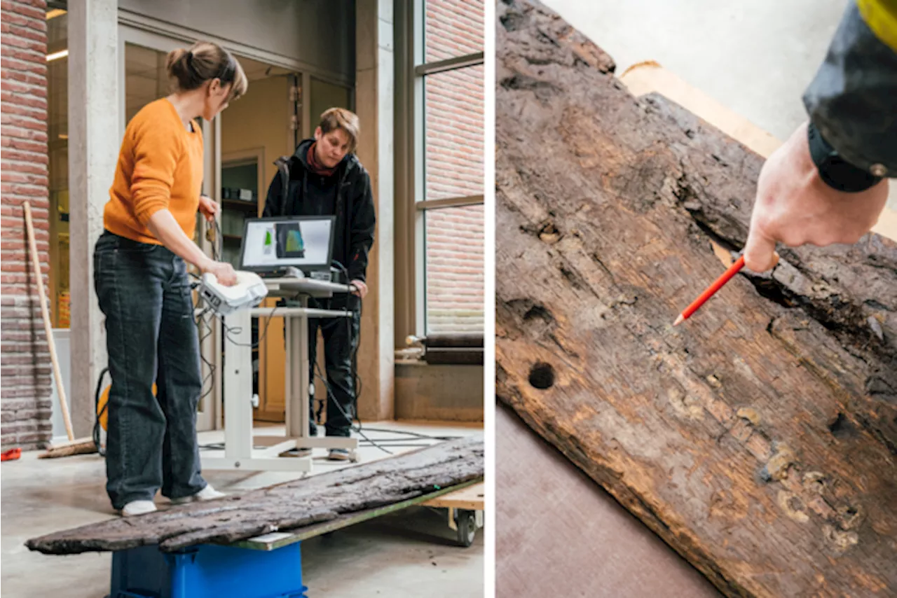 Archeologen botsen op kelder die eeuwenlang verstopt zat: 800 jaar oude houten balken geven geheimen prijs