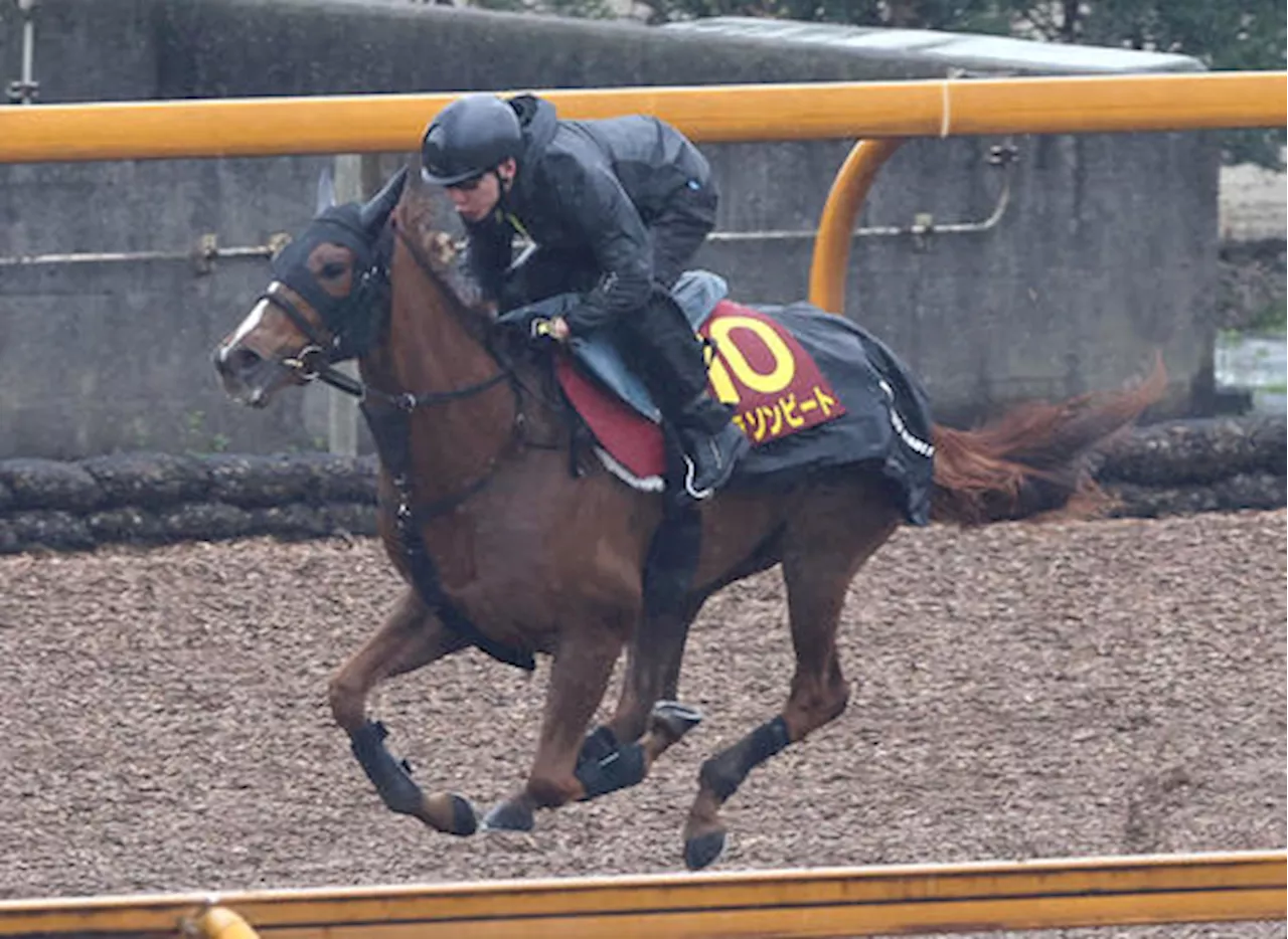 【桜花賞】コラソンビート６Ｆ79秒２、馬なりで圧倒 阪神ＪＦ３着からの“逆転女王”めざす