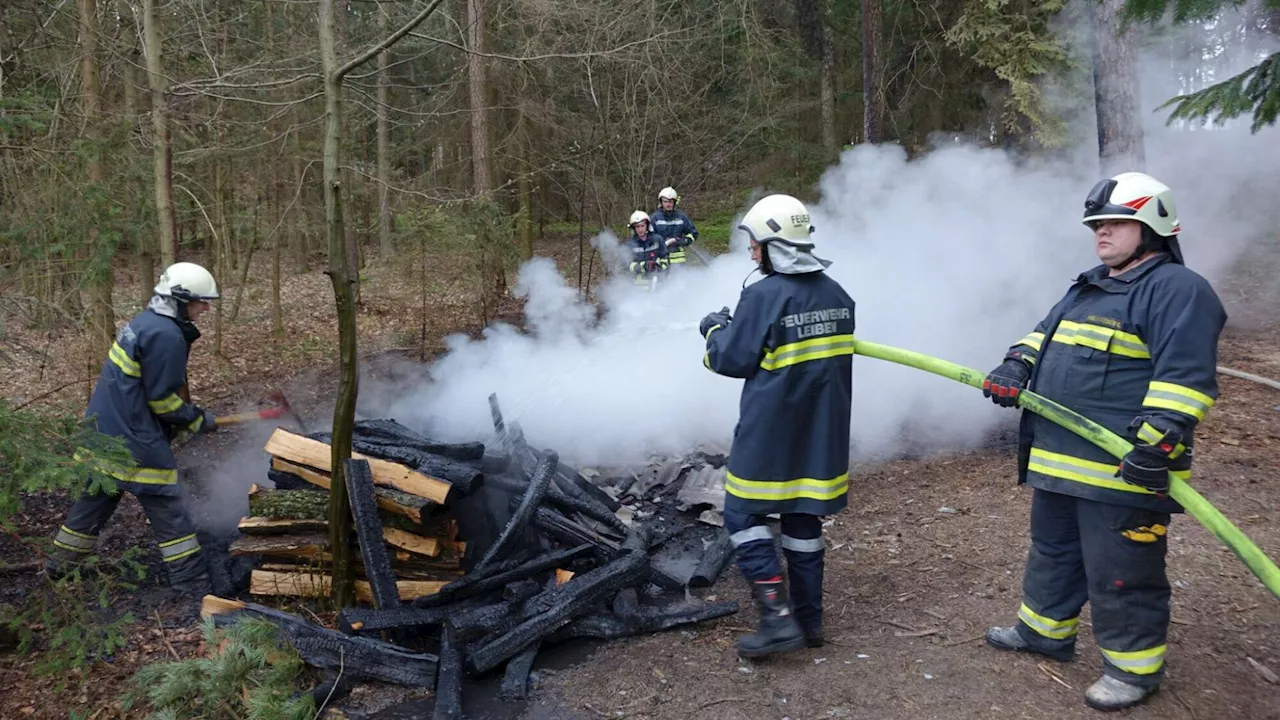 Feuerwehr verhinderte Waldbrand bei Losau