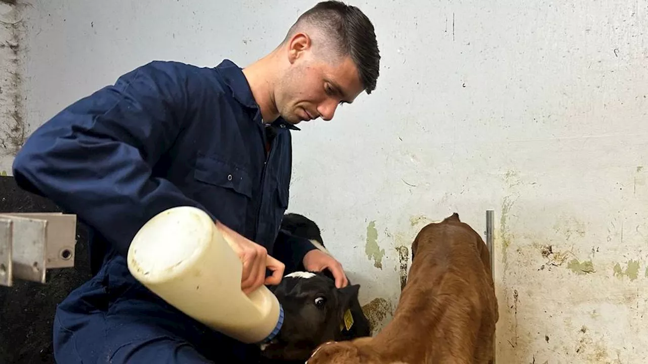 Heerenveen-spits Van Amersfoort is een dag per week boer Pelle