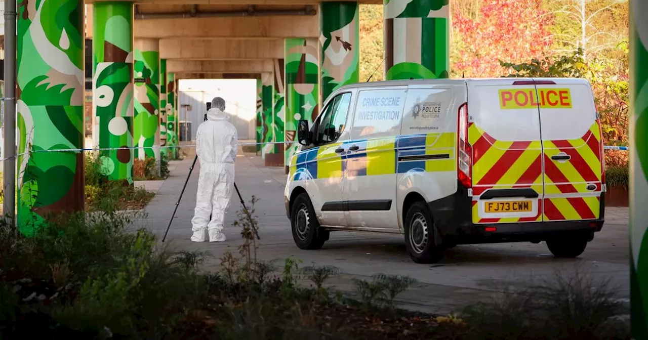 Boy, 13, denies city centre skatepark murder of Jack Edwards