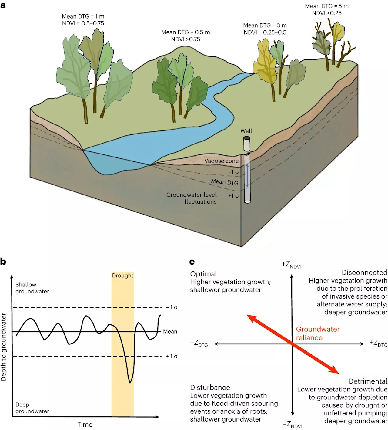 Examining groundwater's role in ecosystem sustainability