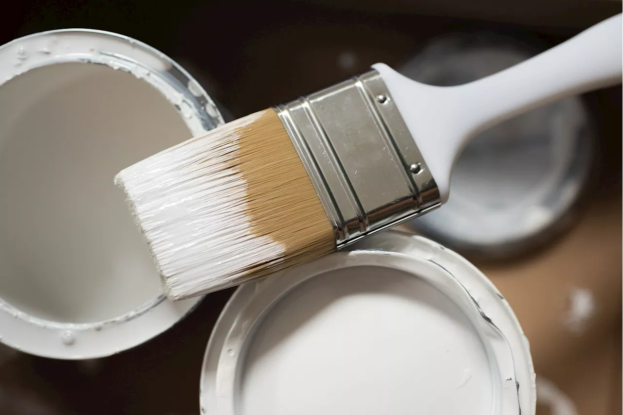 Water-based paints: Less stinky, but some still contain potentially hazardous chemicals