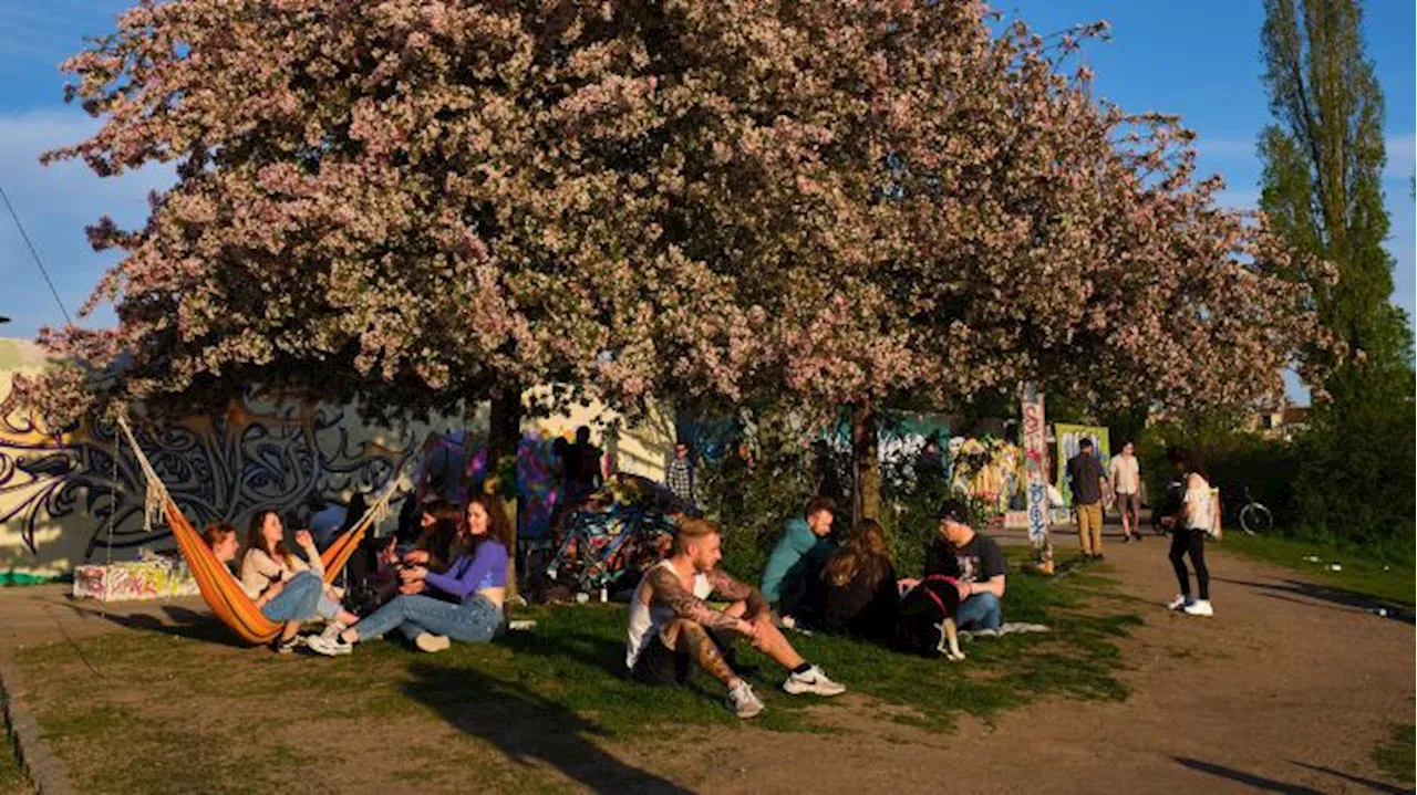 Aussicht auf sommerliche Temperaturen am Wochenende