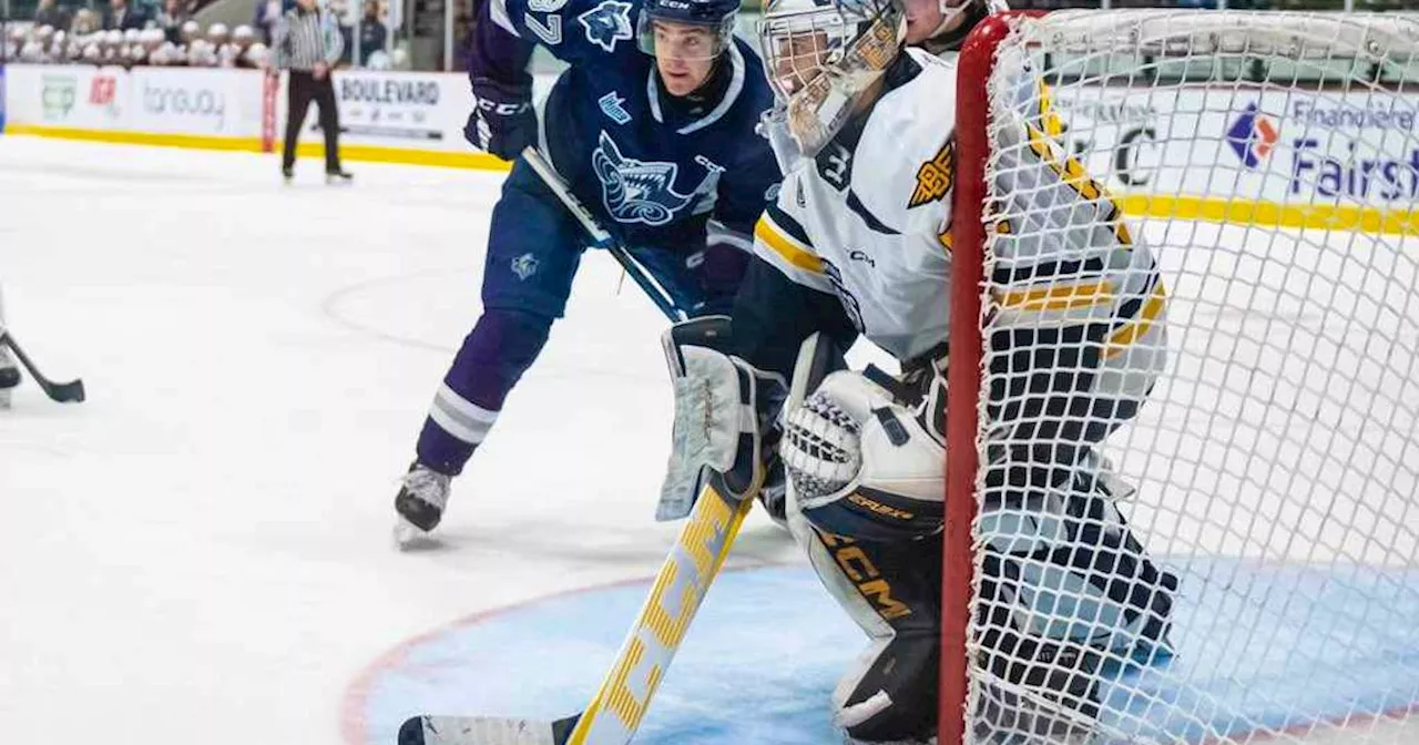 Cape Breton Eagles on the Verge of Advancing in Junior Hockey League Playoffs