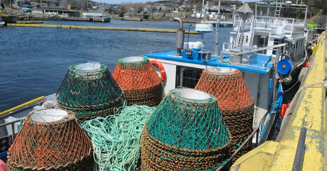 Start of Newfoundland and Labrador snow crab fishery uncertain with harvesters unhappy with pricing formula decision