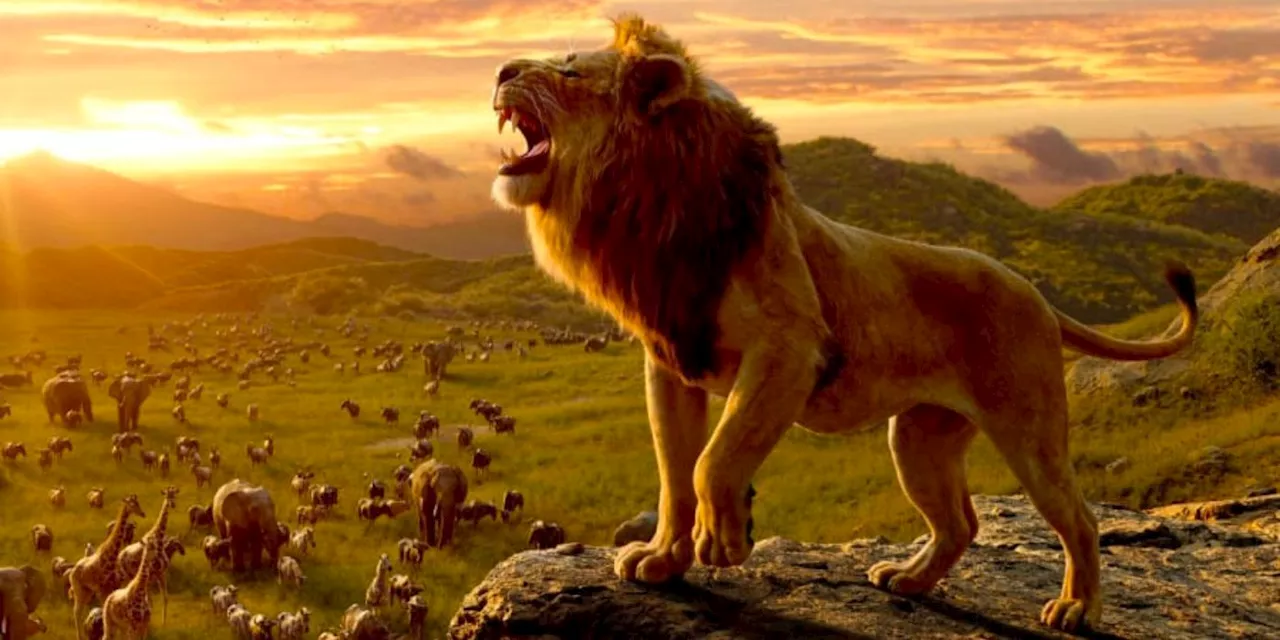 The Lion King Prequel Image Reveals Young Mufasa Looking Over Pride Lands In Live-Action