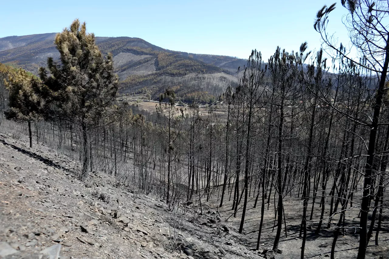 Reposição de infraestruturas municipais após incêndio na Serra da Estrela