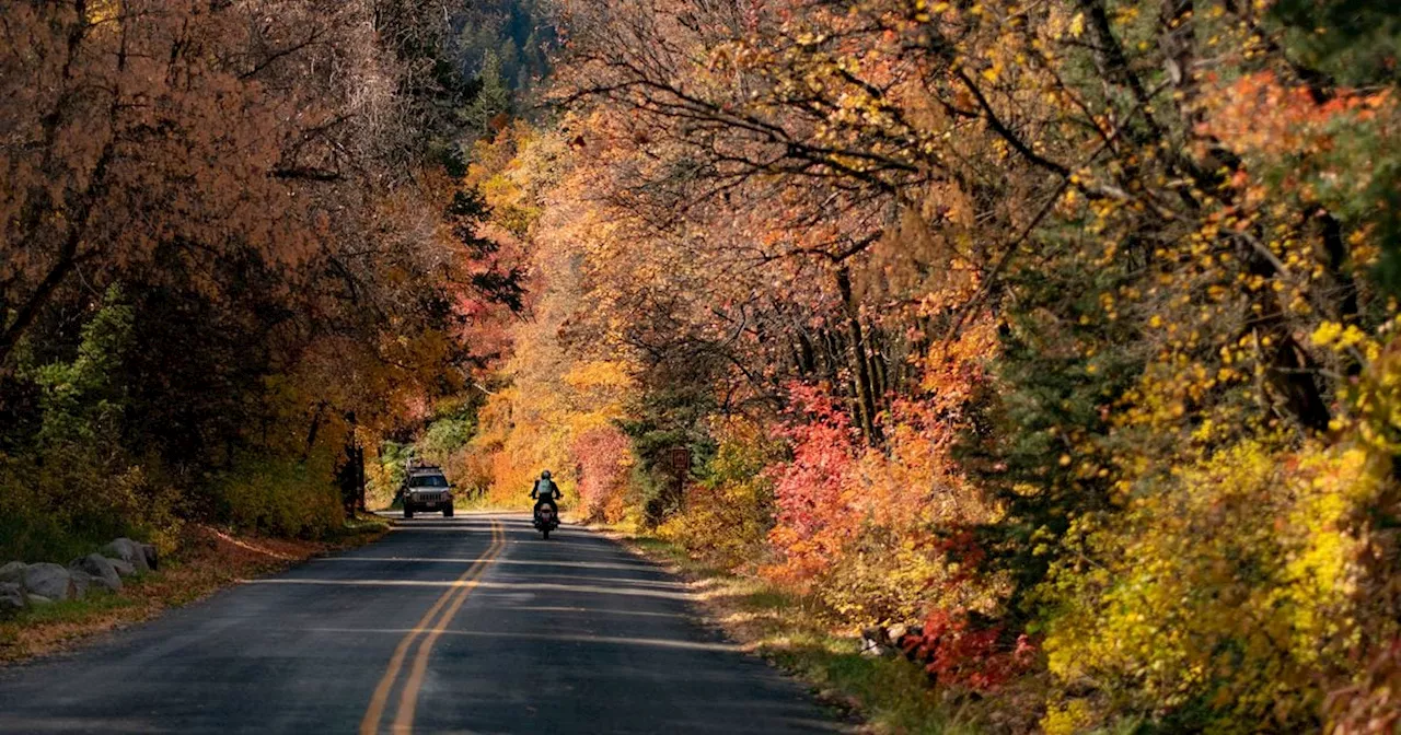 Mill Creek Canyon Road could be widened starting next spring in two-year project