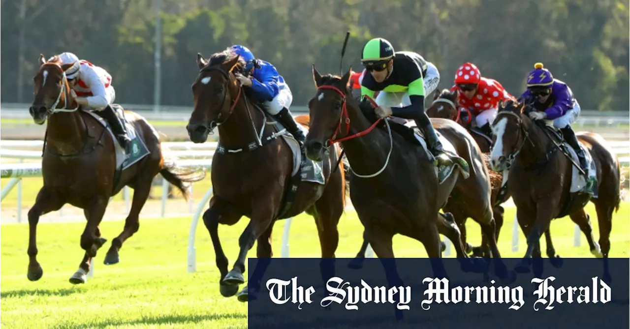 Race-by-race preview and tips for Gosford on Thursday