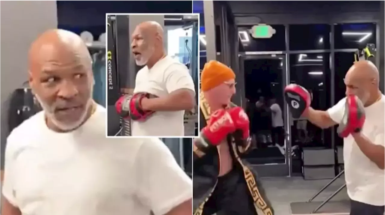 Mike Tyson Loses Cool with Fan After Accidental Hit