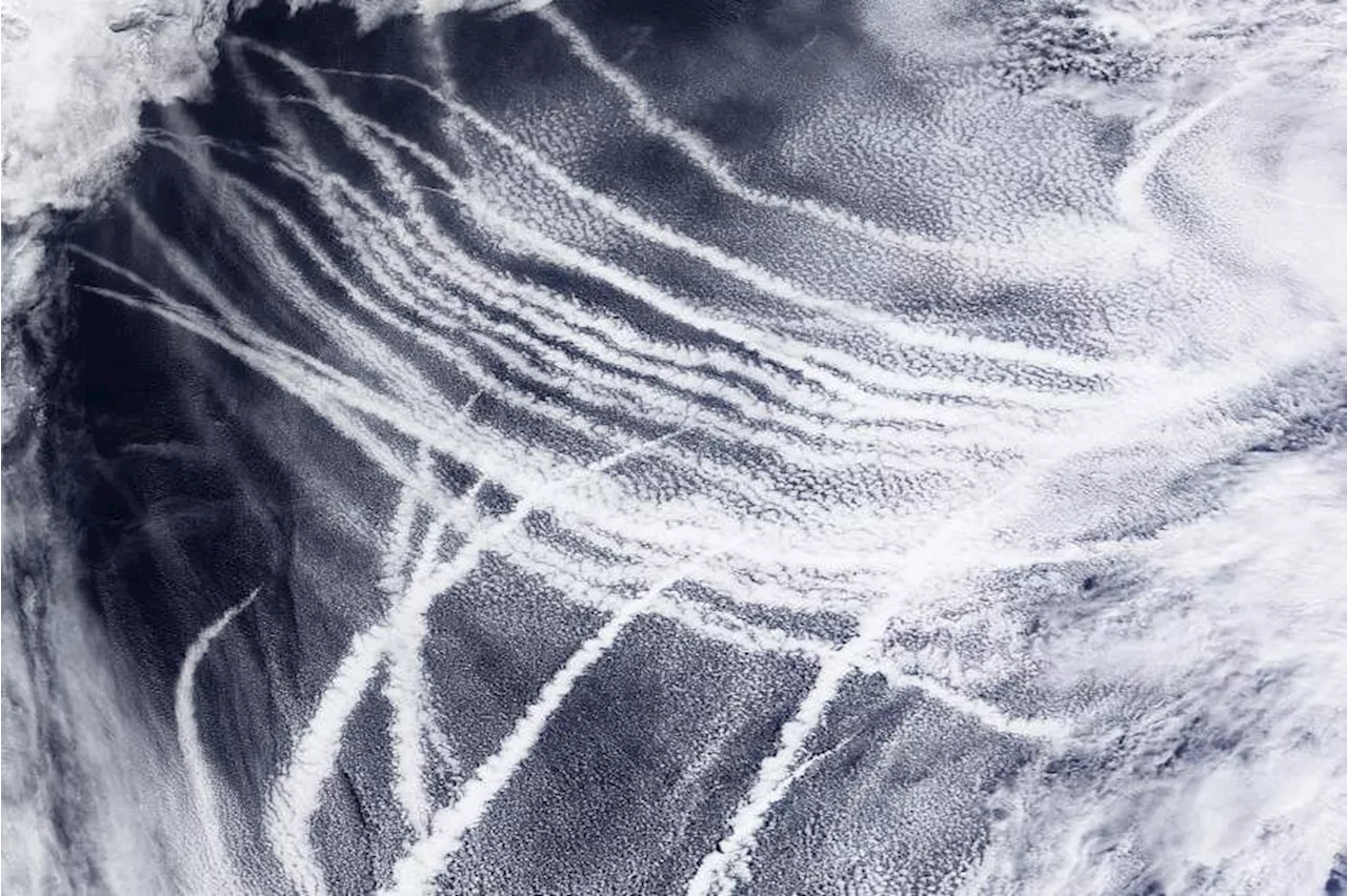 ‘Buying time’: American scientists test machine that brightens clouds to cool the earth