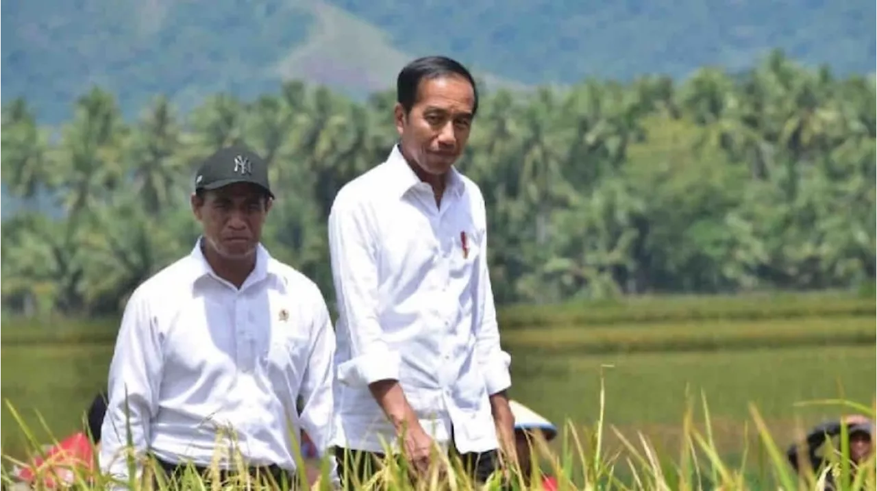 Jokowi Janji Bayar Utang Subsidi Pupuk: Ada Mekanisme, Gak Langsung Tagih Bayar!