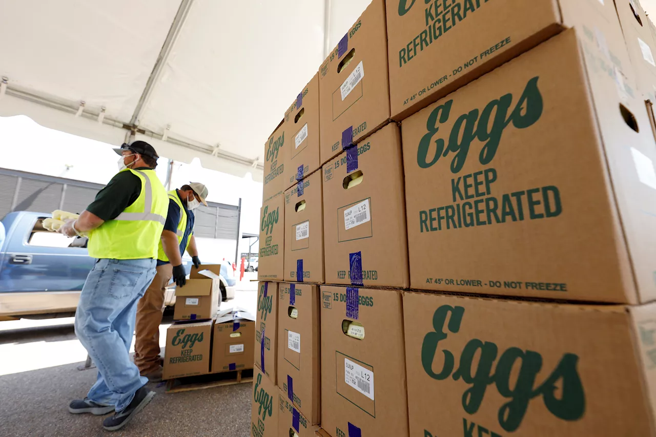 Bird Flu Was Found in Chickens at the Largest U.S. Egg Producer