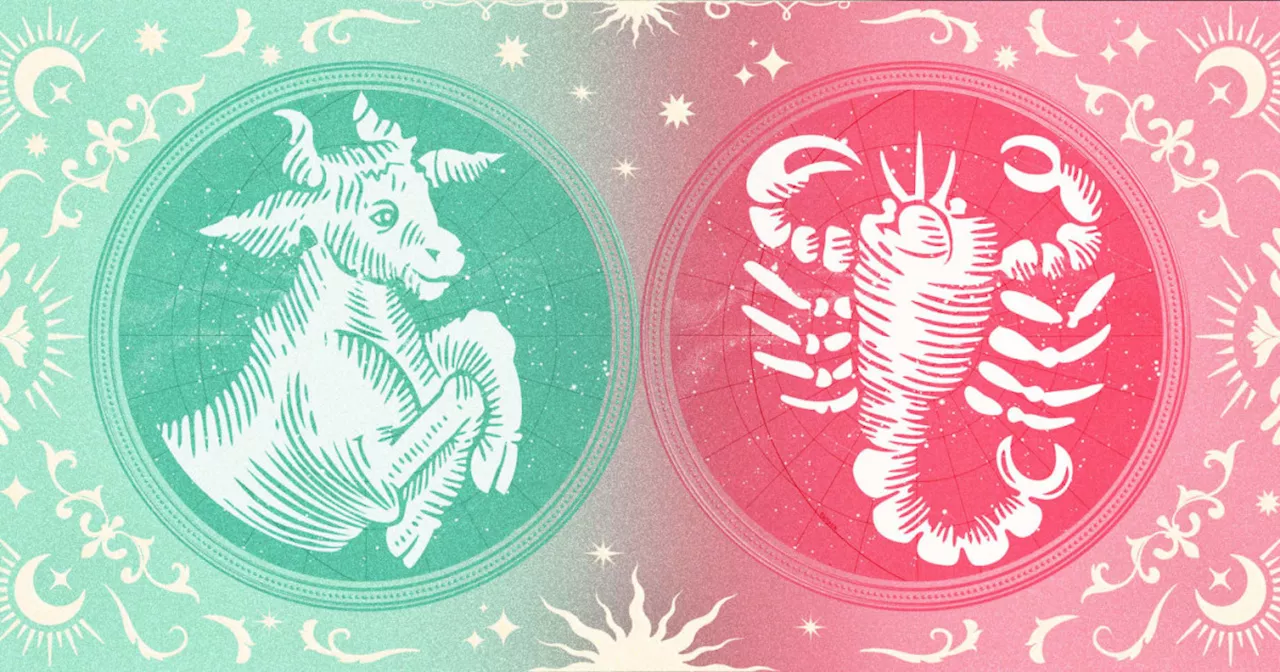 Taurus And Scorpio Compatibility: How The Zodiac Signs Connect In Love