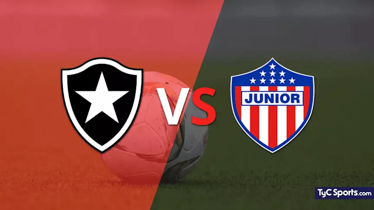 Botafogo vs. Junior por Copa Libertadores