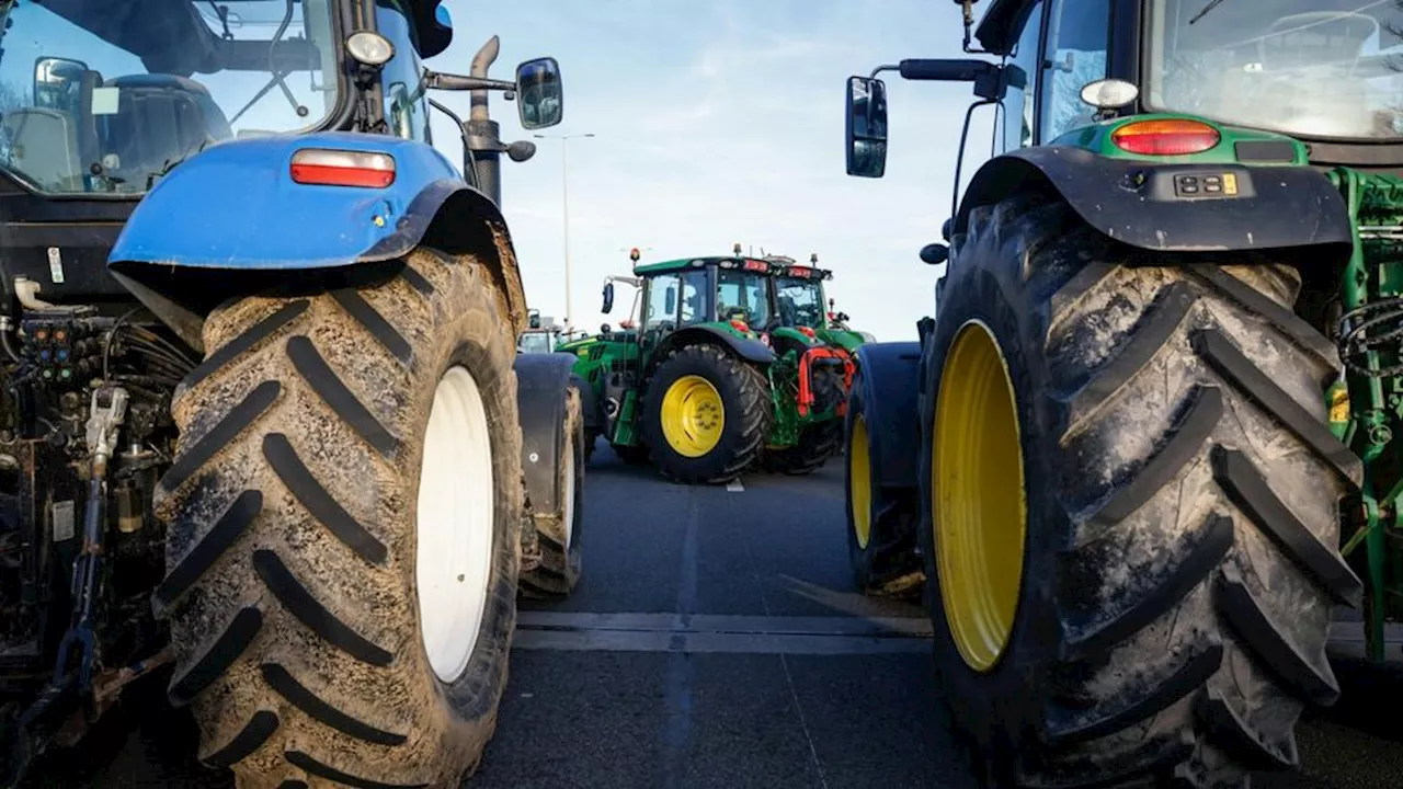 Klimaschädliche Subventionen: Großteil der EU-Gelder fließt in Tierprodukte