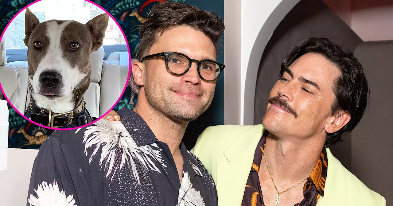 Tom Schwartz Makes Savage Joke About Tom Sandoval Claiming to Miss Dog