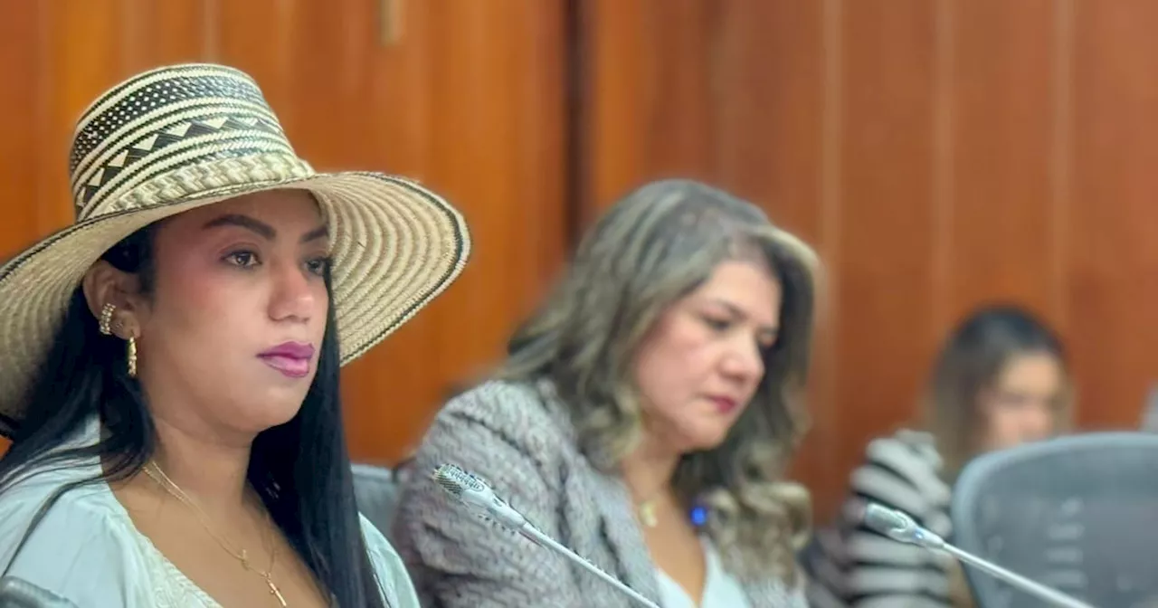 “¿Payasa quién?”, fuerte agarrón entre la senadora Martha Peralta y el senador Honorio Henríquez