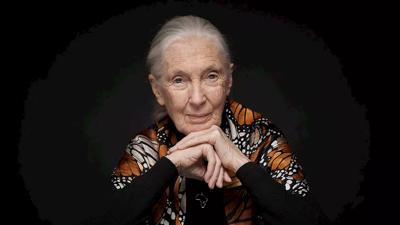 9 Life Lessons From Jane Goodall as She Turns 90