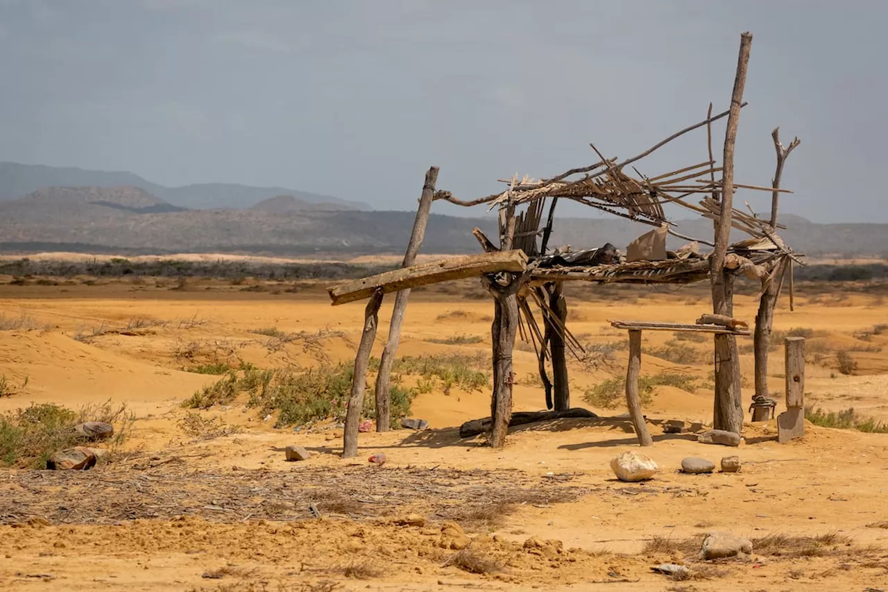 Alta Guajira: jagüeyes y pozos de agua se encuentran secos desde hace dos semanas