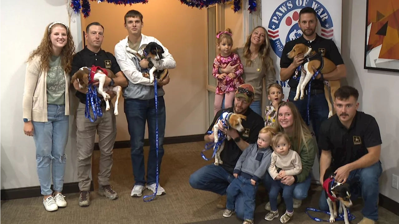 Paws of War helps reunite Hoosier soldiers with stray puppies