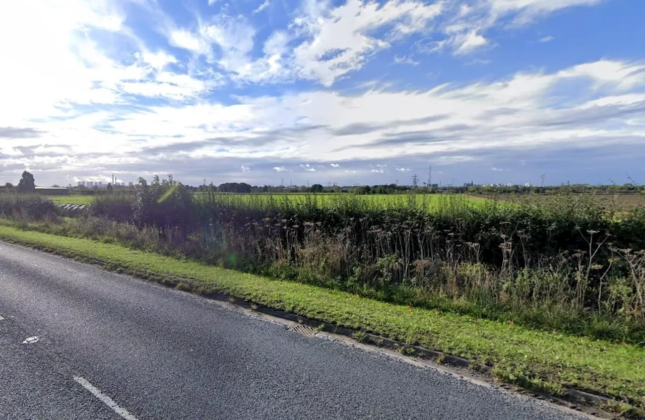 Plan for new secondary school on 'top grade' farmland in Yorkshire should be approved, say planners