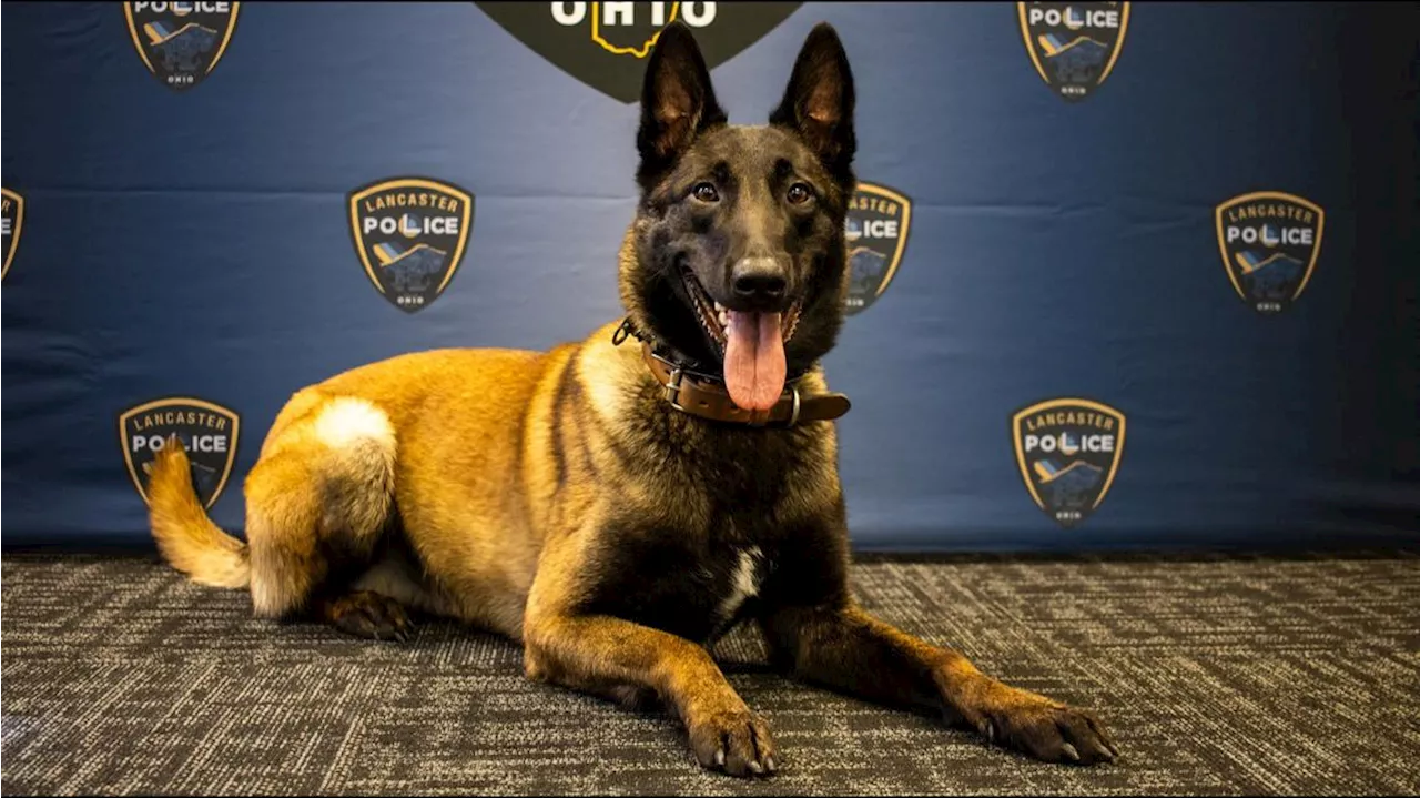 Lancaster police add new K-9 to team