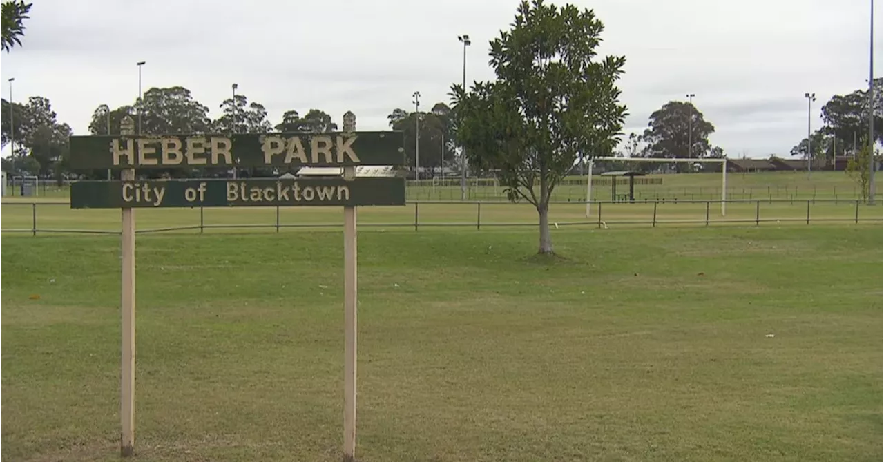 Man charged after allegedly chasing park-goers with knife, injuring one