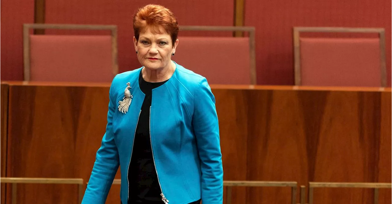 Pauline Hanson's tweet a 'fairly strong form of racism'