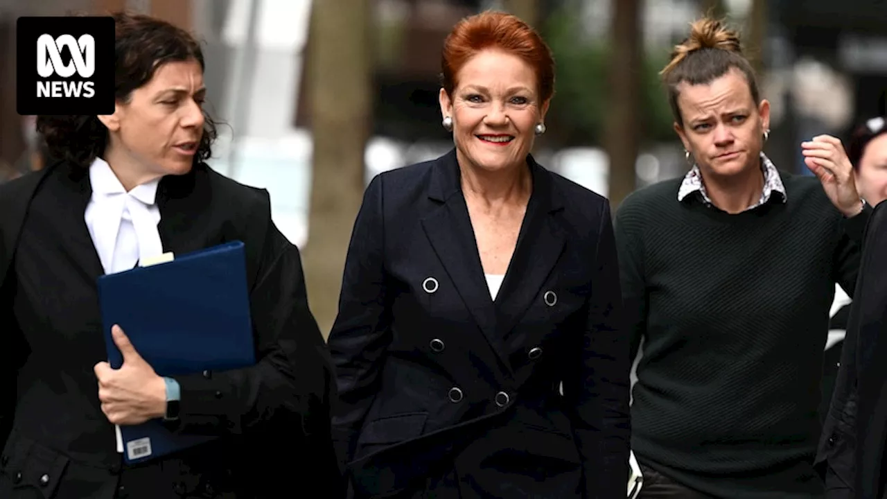 One Nation's Pauline Hanson tells court she did not know Greens senator was Muslim when she suggested she go 'back to Pakistan'