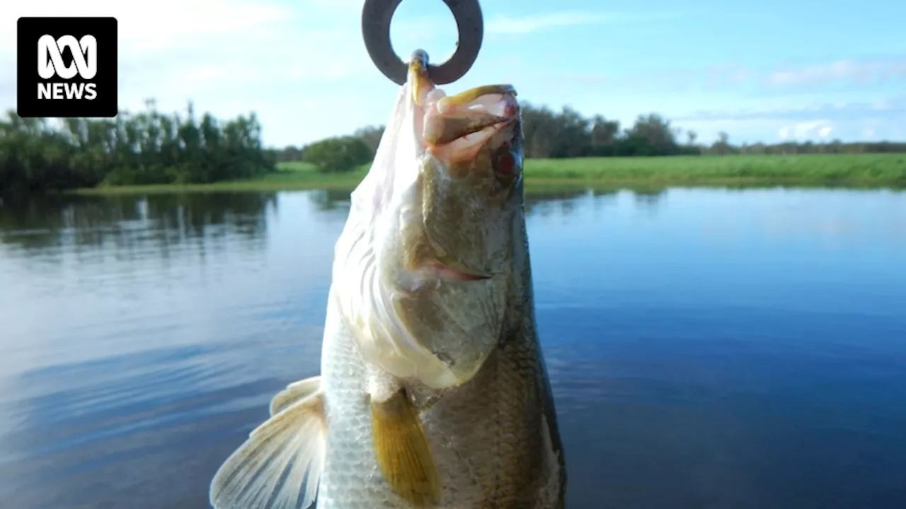 Top End teenager Keegan Payne catches million dollar fish on the Katherine River