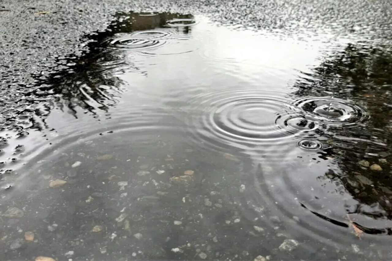 Pluies records dans les Pyrénées-Orientales : 'C'est une pause dans la sécheresse'