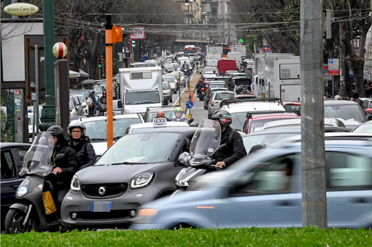 Nel traffico le auto somigliano ai batteri in cerca di cibo