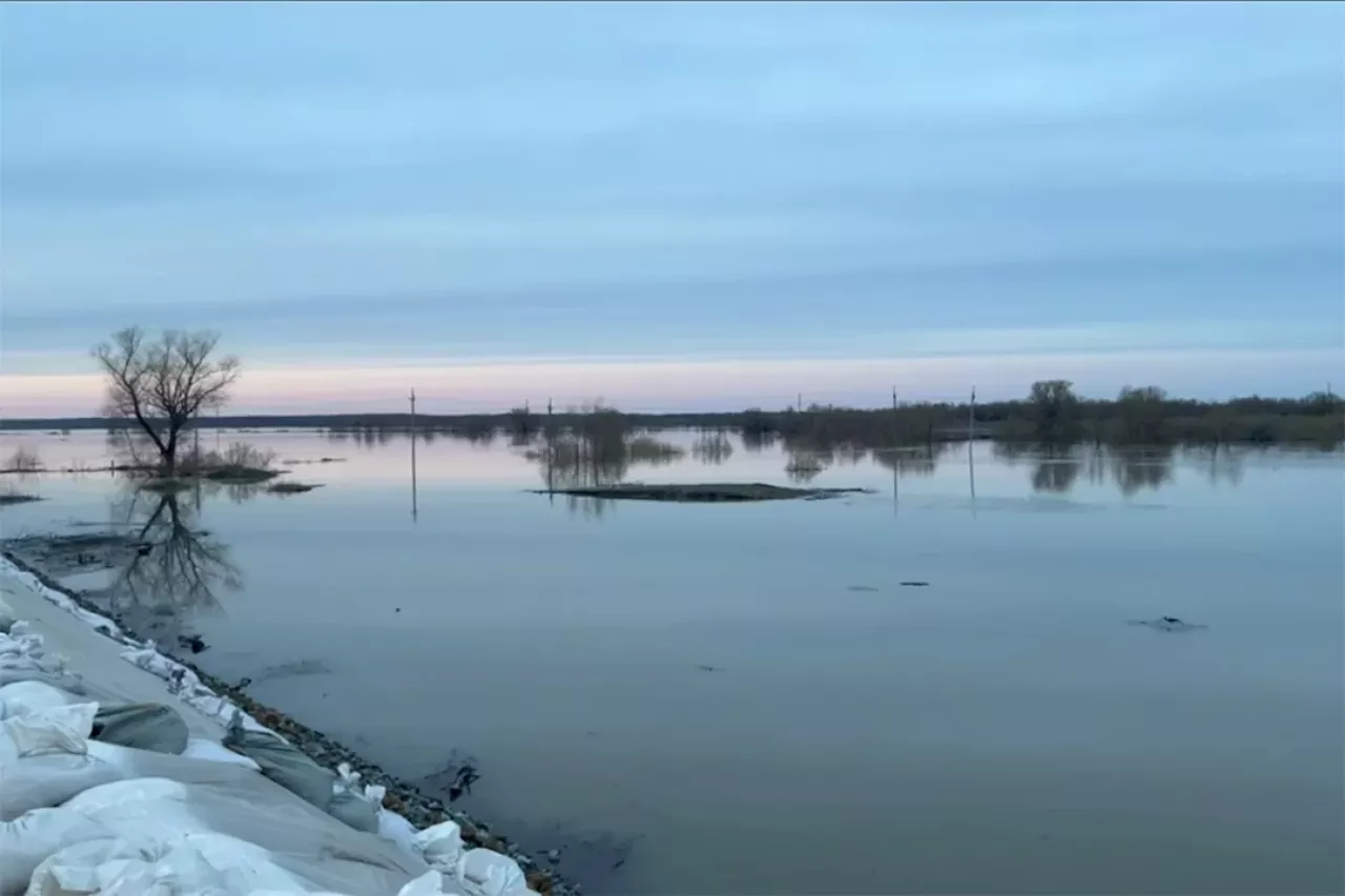 Пики паводка в Тюменской области сместились из-за медленного течения Тобола