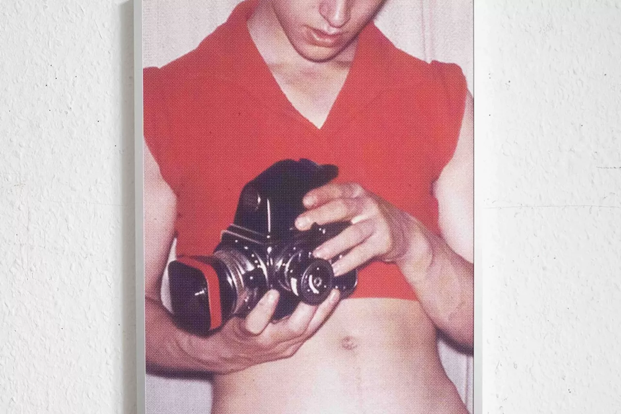 An Introductory Guide to the Seductive Queer Art of Dean Sameshima
