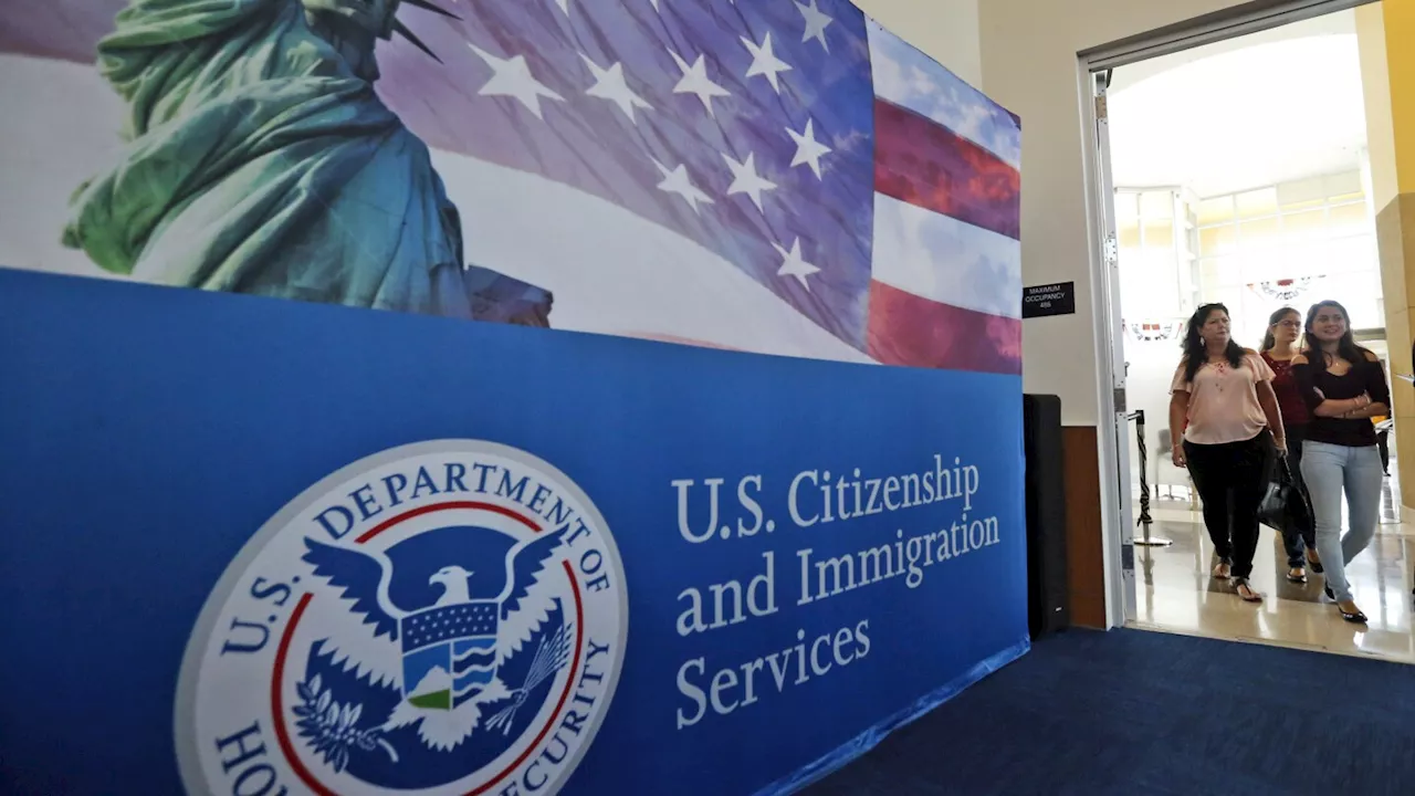 Lottery bids for skilled-worker visas plunge in the US after changes aimed at fraud and abuse