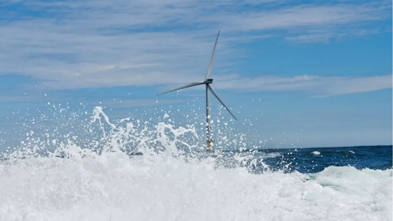 Orsted, Macquarie Among Picks for Australia Offshore Wind Debut